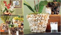 Ý tưởng trang trí độc đáo cho chậu cây cảnh