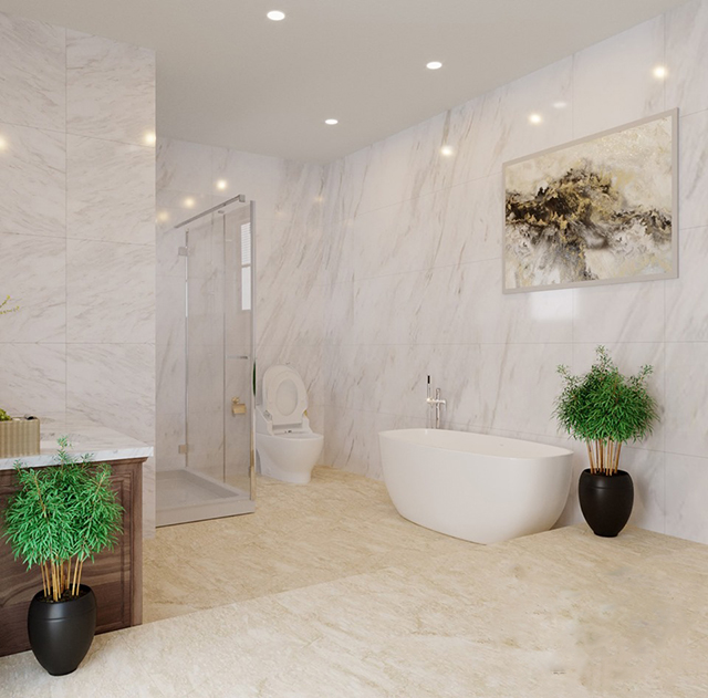 Biệt thự 246m2 hiện đại có bể bơi và sân vườn ở Nam An Khánh